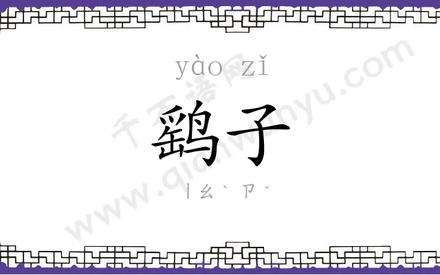 鹞子