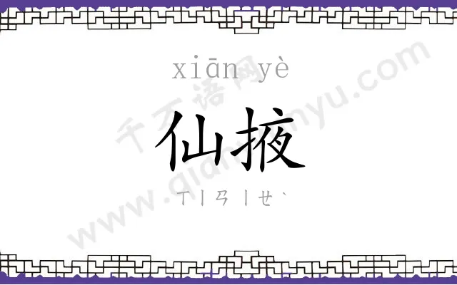 仙掖