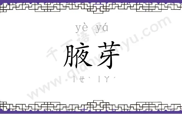 腋芽