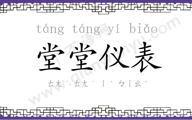 堂堂仪表