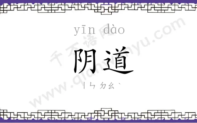 阴道
