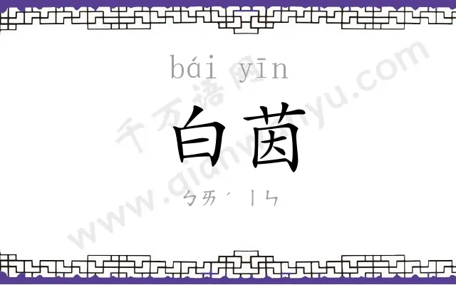 白茵