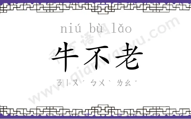 牛不老