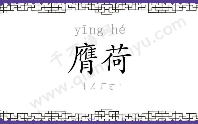 膺荷