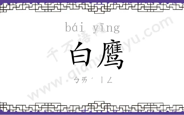 白鹰