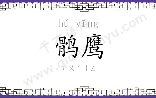 鹘鹰