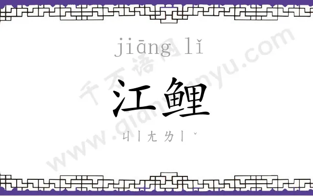 江鲤