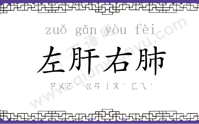 左肝右肺
