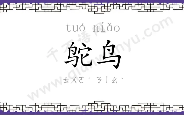 鸵鸟