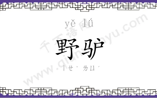 野驴