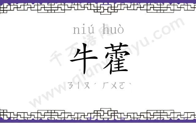 牛藿