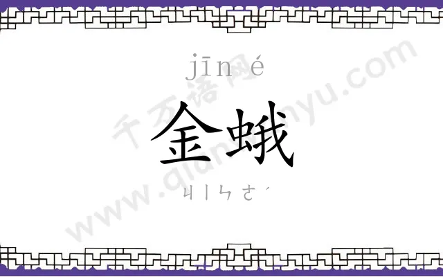 金蛾