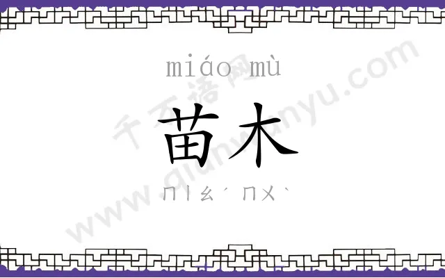 苗木