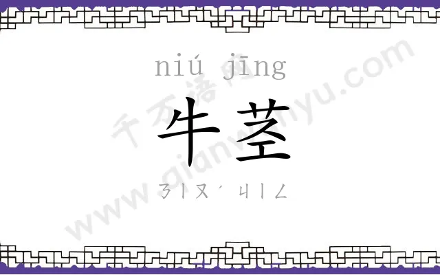 牛茎