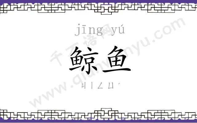 鲸鱼