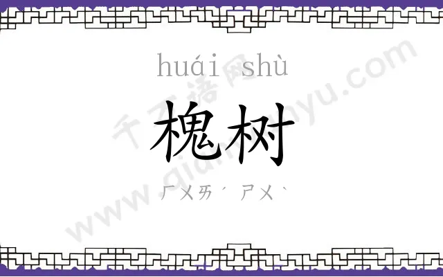 槐树