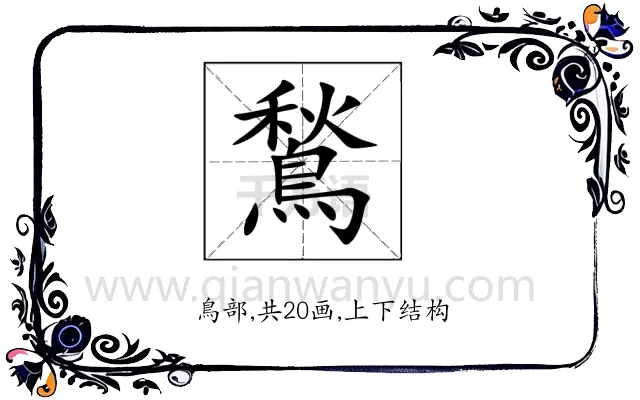 鶖