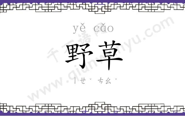 野草