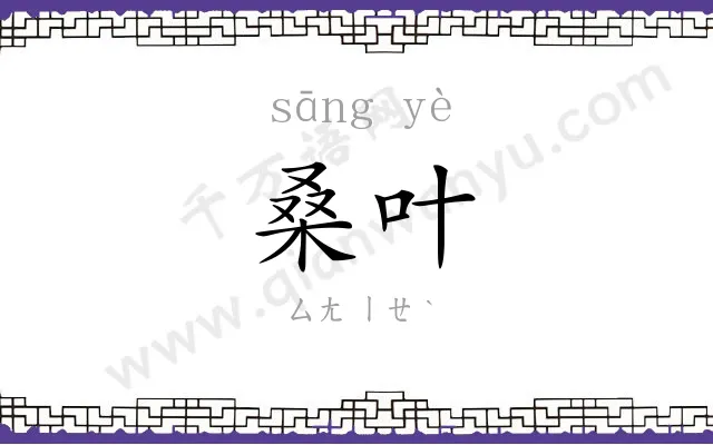 桑叶