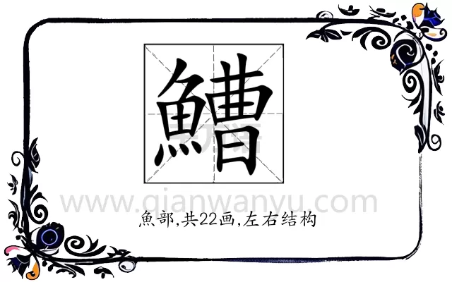 鰽