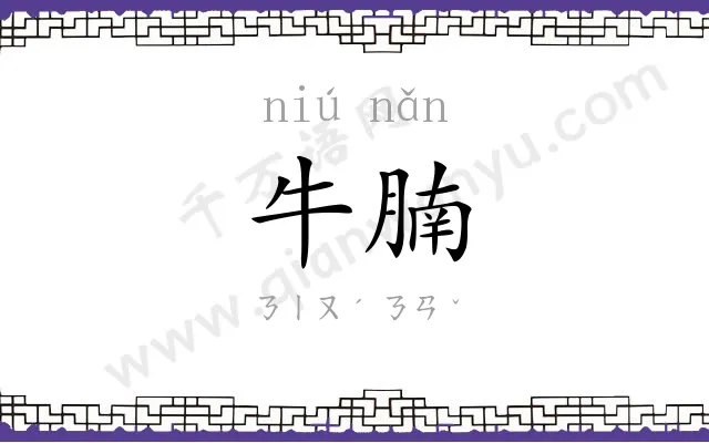 牛腩