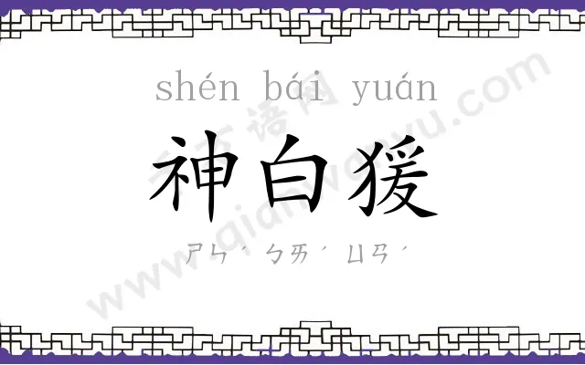 神白猨