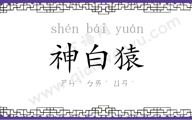 神白猿