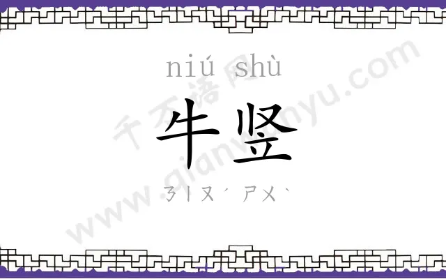 牛竖