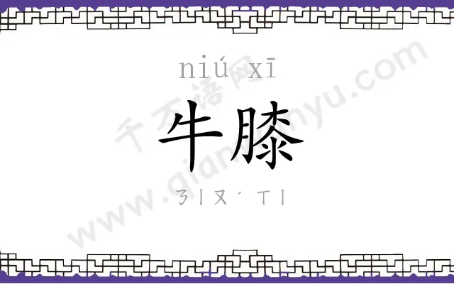 牛膝