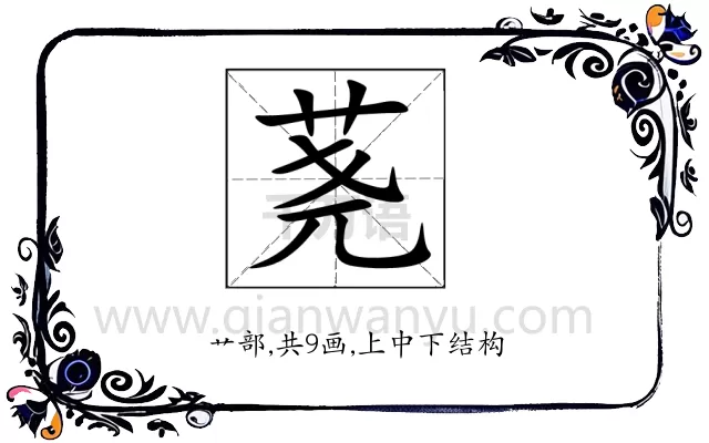 荛