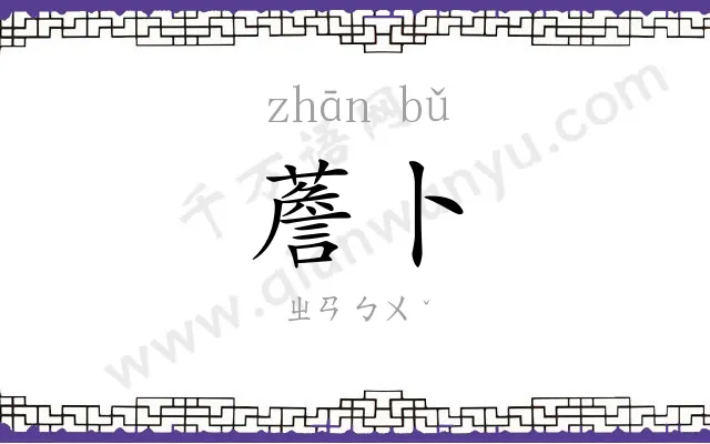 薝卜