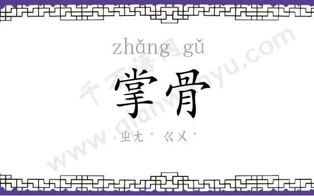 掌骨