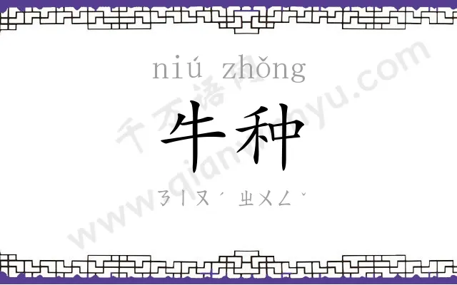 牛种
