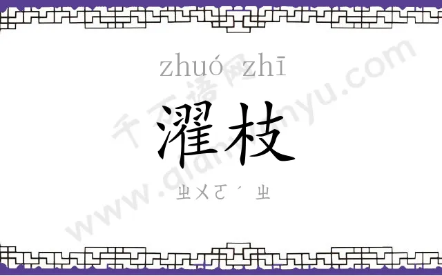濯枝