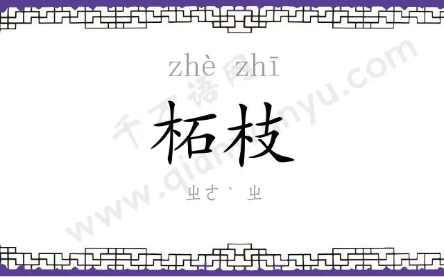 柘枝