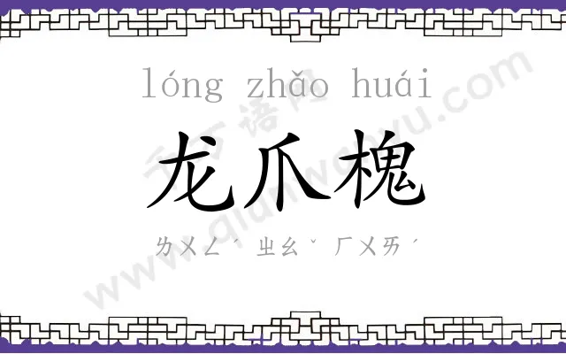 龙爪槐