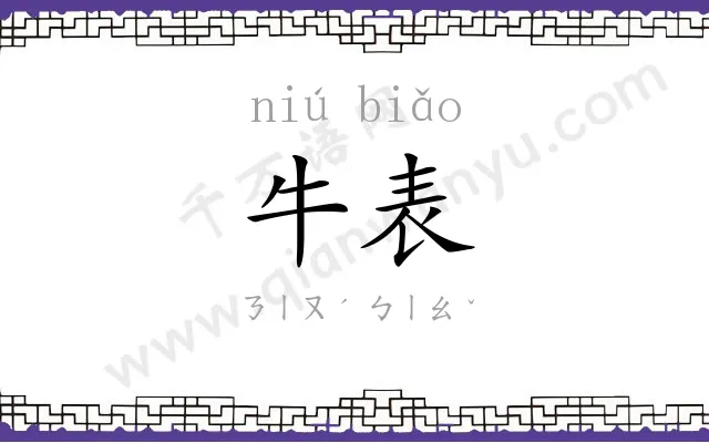 牛表