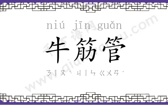 牛筋管