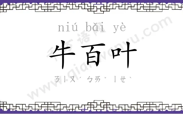 牛百叶