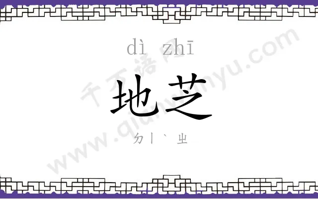 地芝