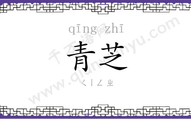 青芝