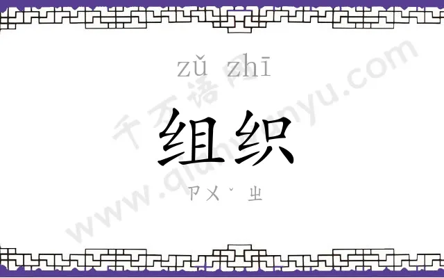 组织
