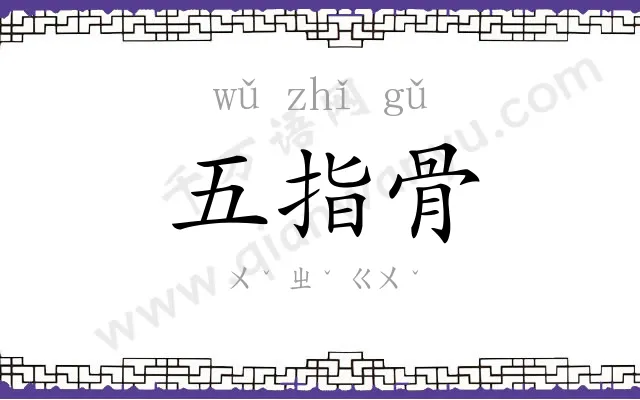 五指骨