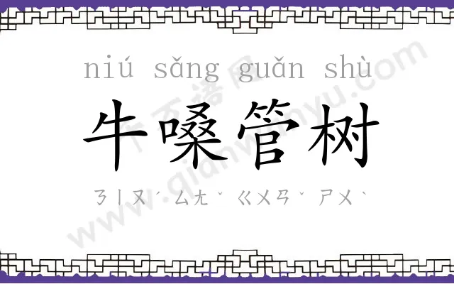 牛嗓管树