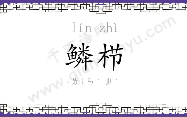 鳞栉