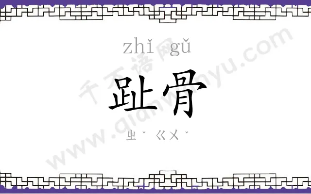 趾骨