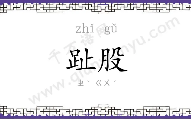 趾股