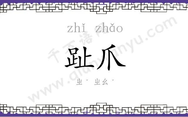 趾爪