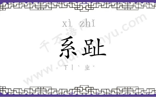系趾
