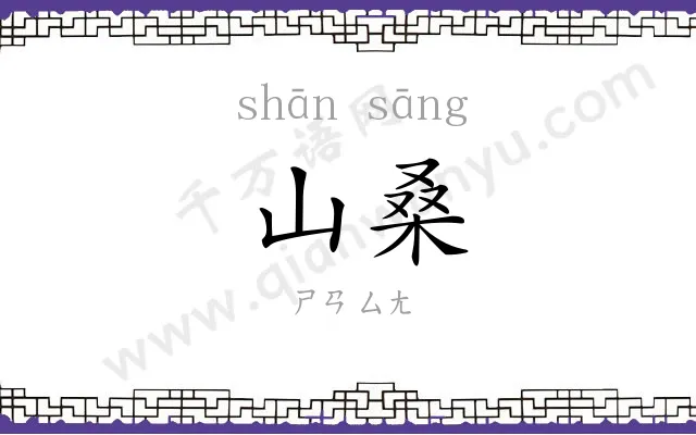 山桑